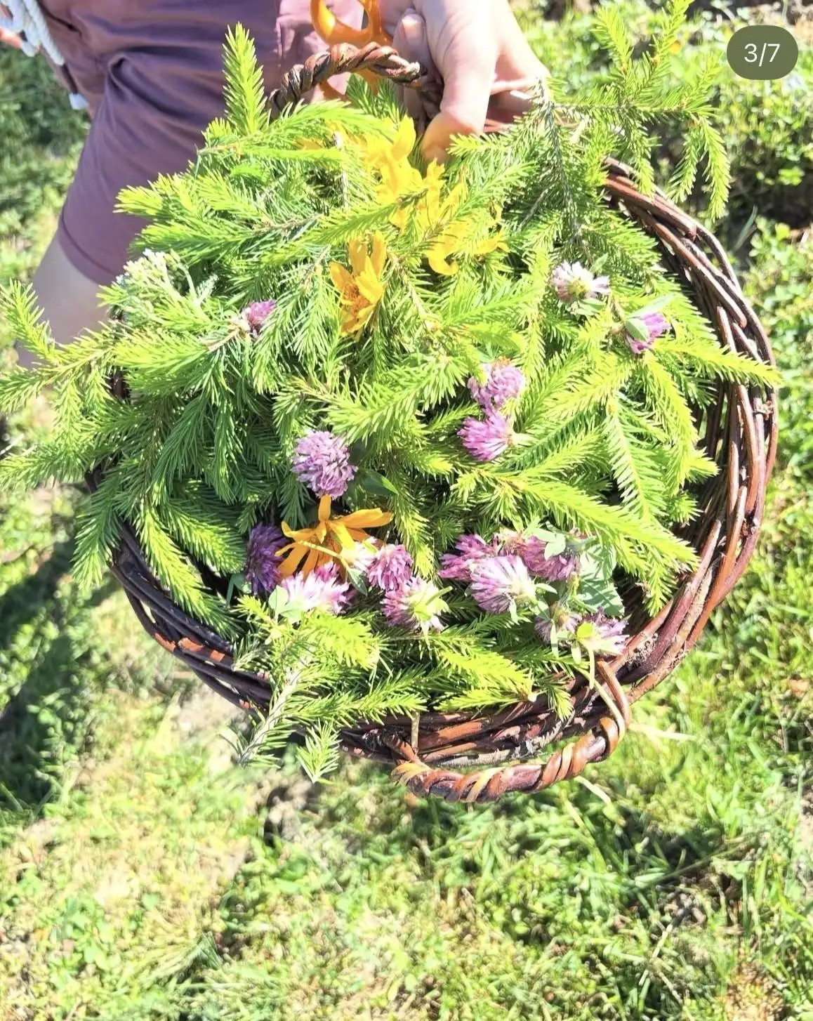 Yoga & Hiking Retreat in the Wilder Kaiser