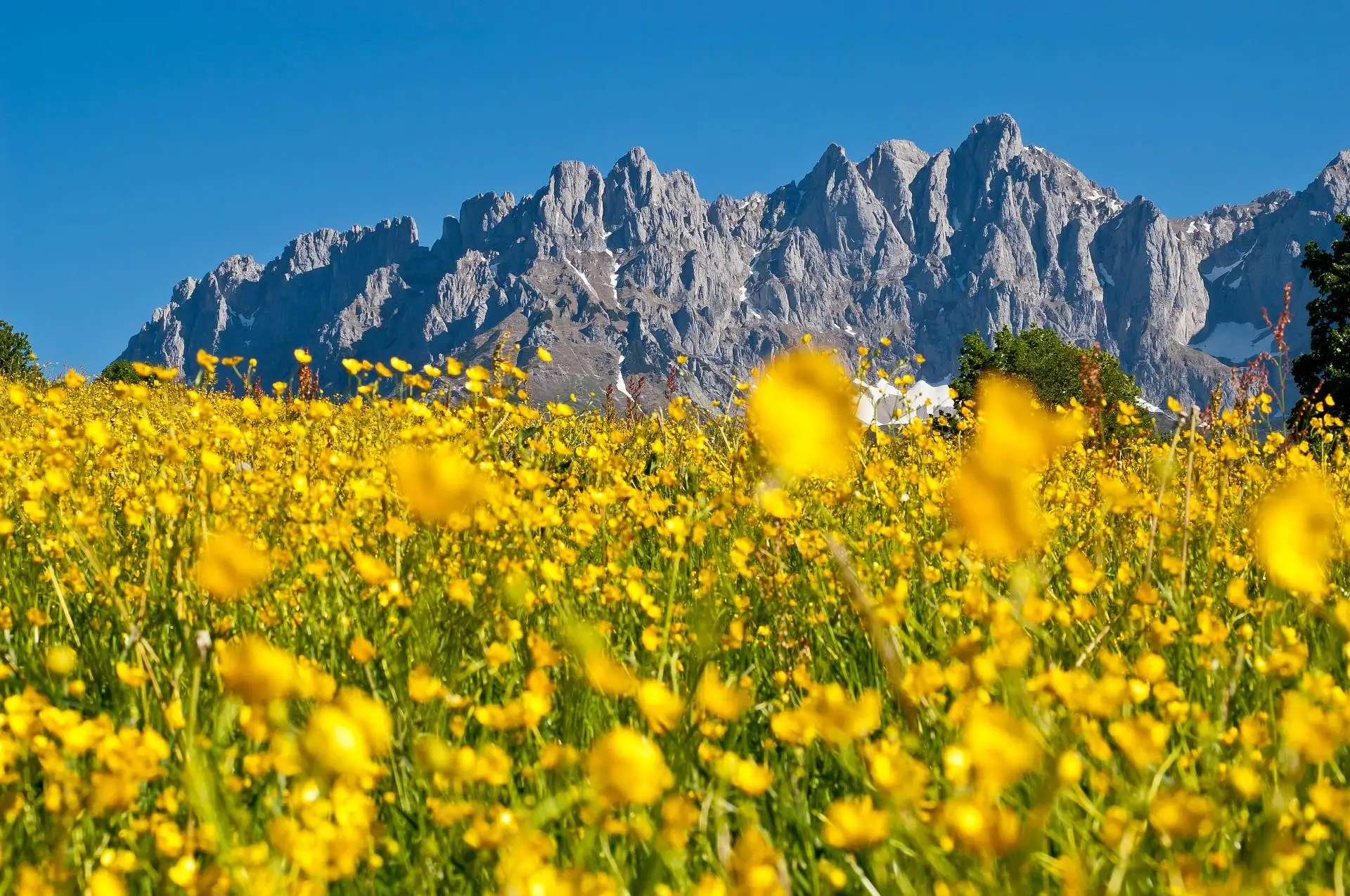 Yoga & Hiking Retreat in the Wilder Kaiser