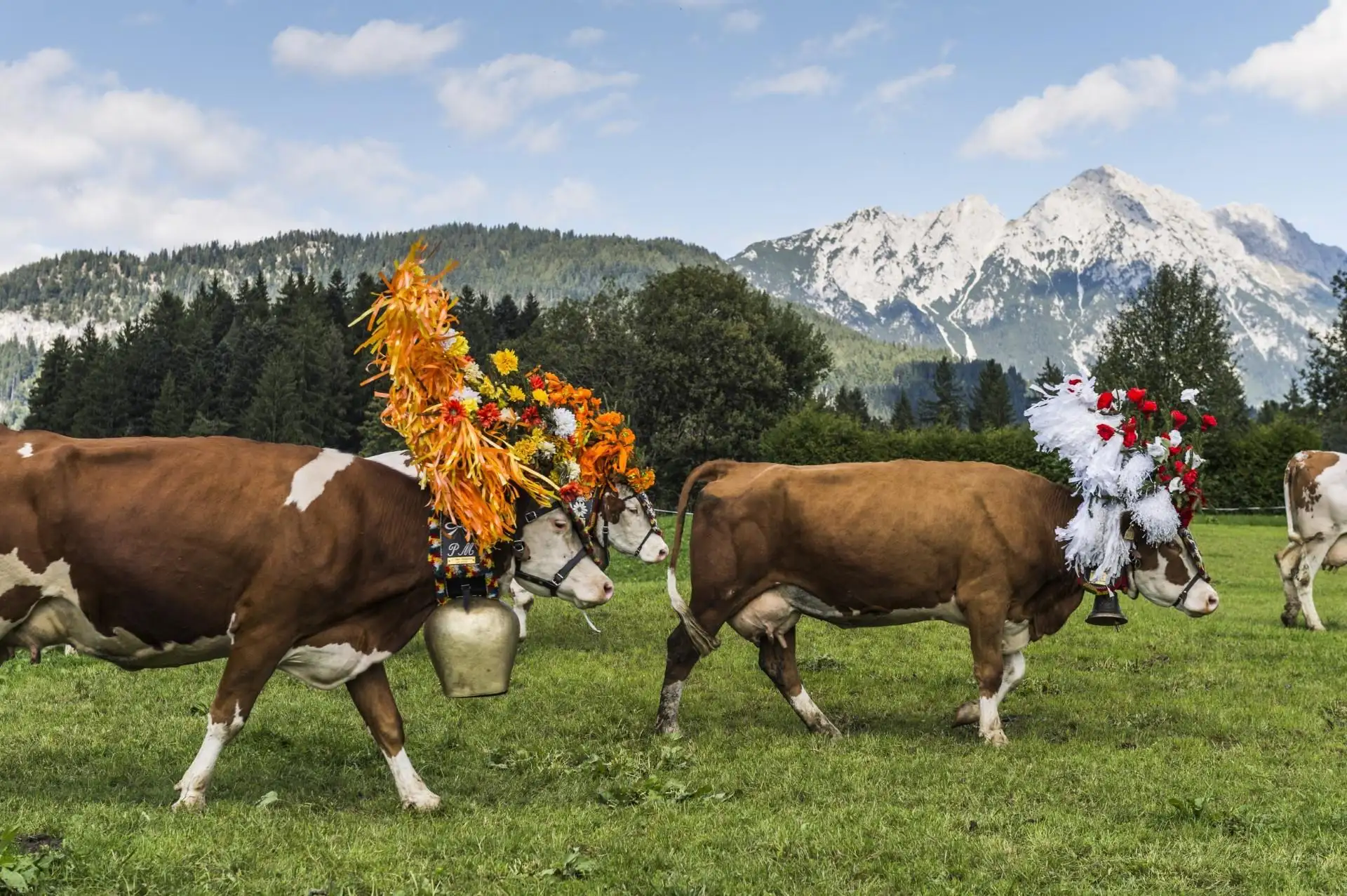 Yoga & Hiking Retreat in the Wilder Kaiser