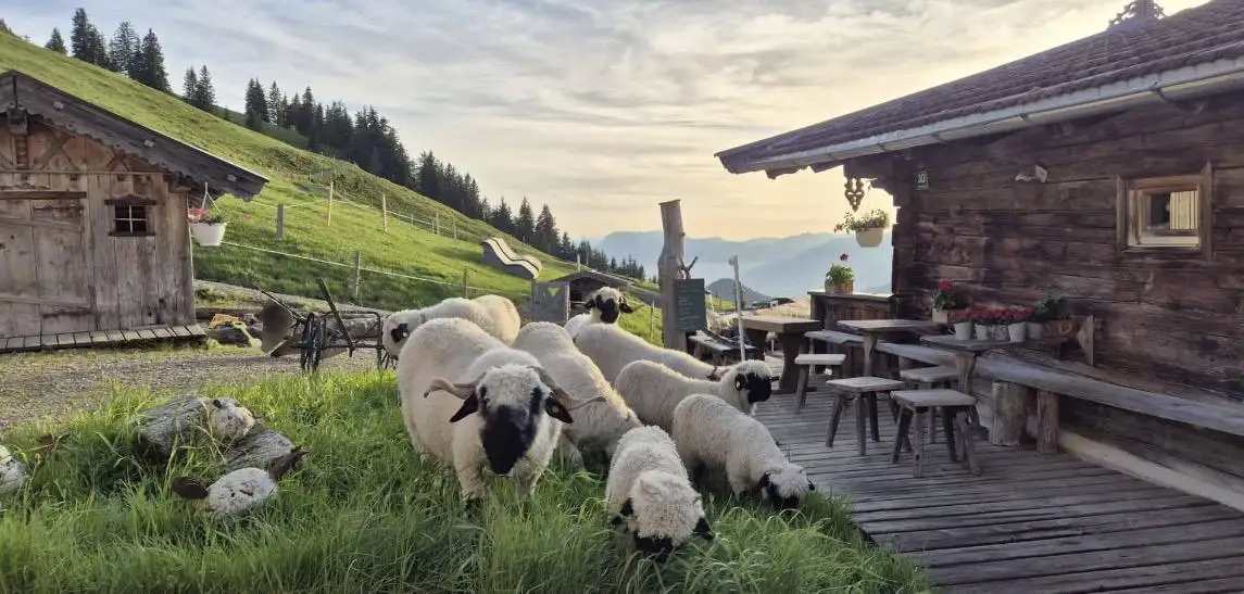 Yoga & Wander Retreat am Wilden Kaiser